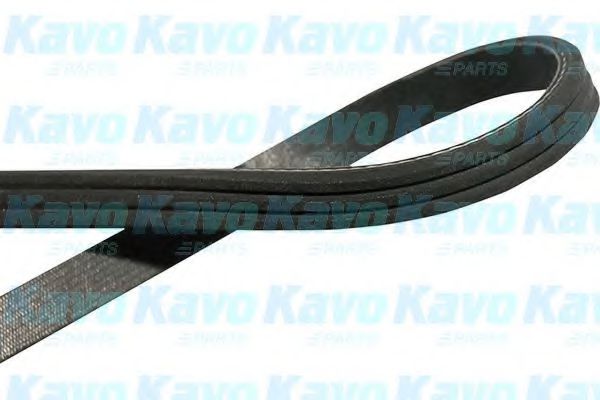 Ремень поликлиновый KAVO PARTS                DMV-9103
